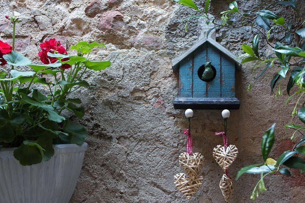 Il Giglio B&B Pienza Eksteriør bilde