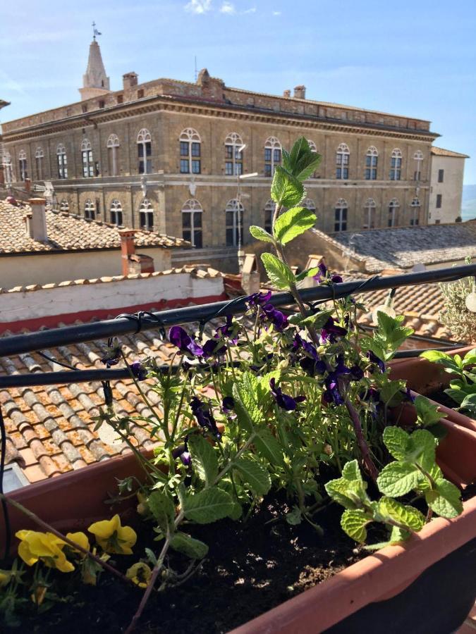 Il Giglio B&B Pienza Eksteriør bilde