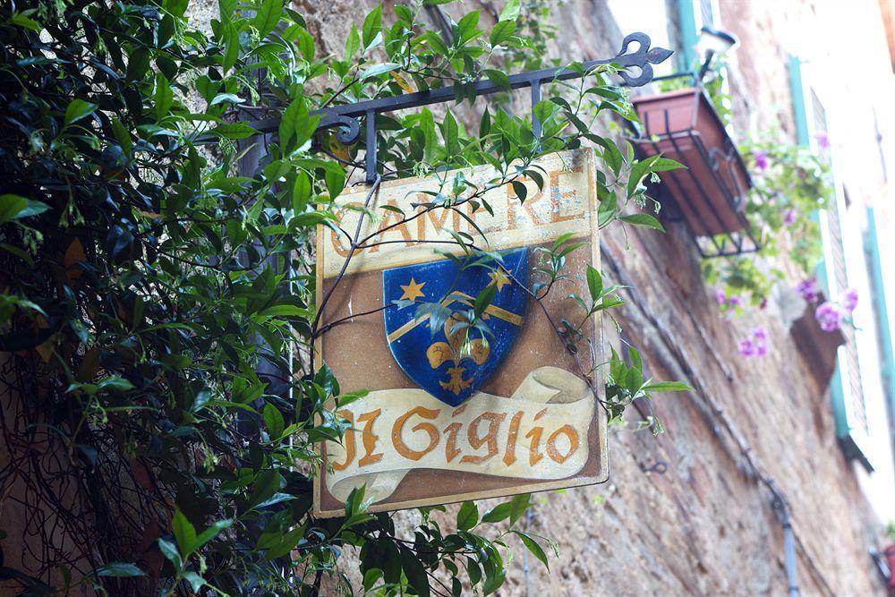 Il Giglio B&B Pienza Eksteriør bilde